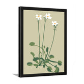 Delicate White Floral Botanical Prints Wall Art Painting with Black Frame